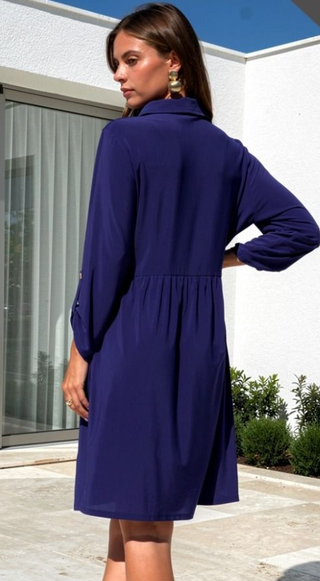 Inspire Collared Dress with Pockets